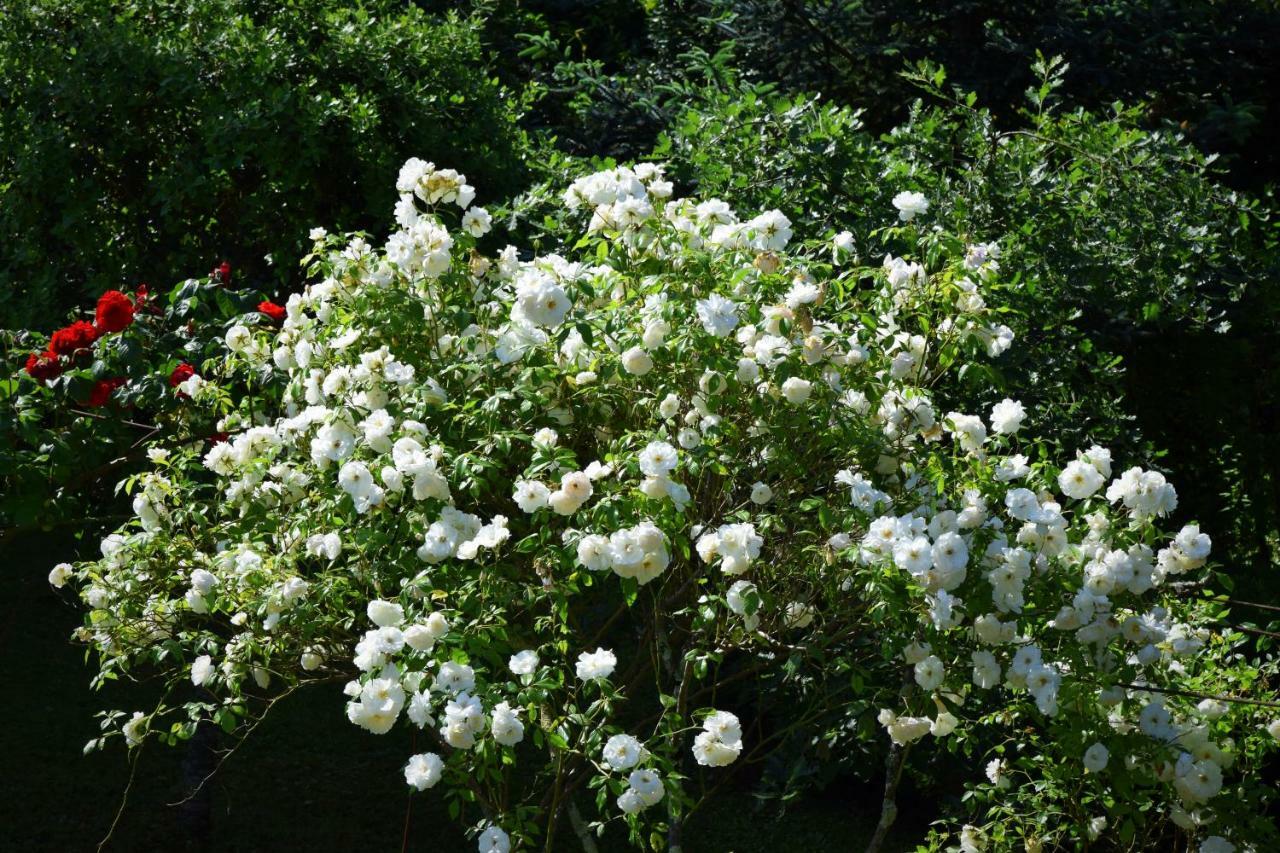 L'Intemporelle B&B Le Buisson-de-Cadouin 외부 사진