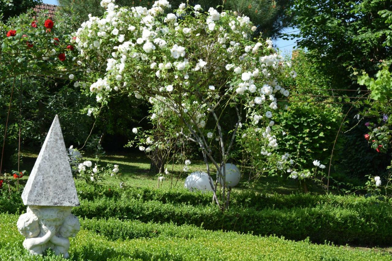 L'Intemporelle B&B Le Buisson-de-Cadouin 외부 사진